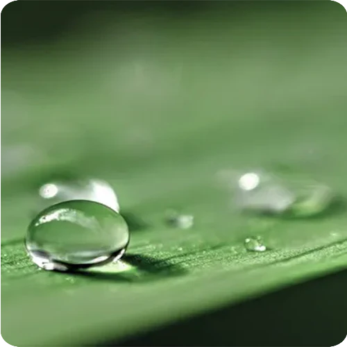 Organic Vegetable Glycerin